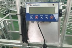 Hangskaal-Massamatic