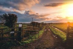 brown-farm-gate-and-green-grass-field-1094544