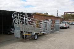 cattle-handling-english-version-min