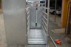 Cattle raceway /  Bees drukgang