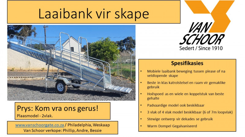 Skaap-laaibank