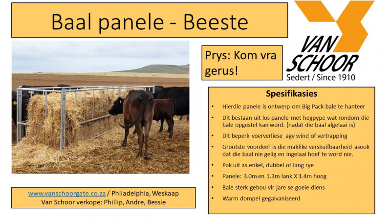 Baal-panele-beeste