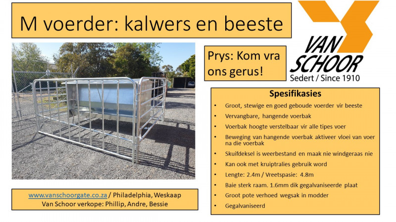 M-voerder-kalwers