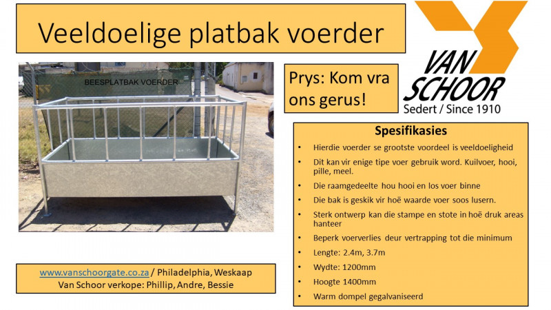 Platbak-beeste
