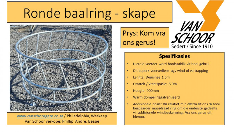 Rondebaal-ring-skape