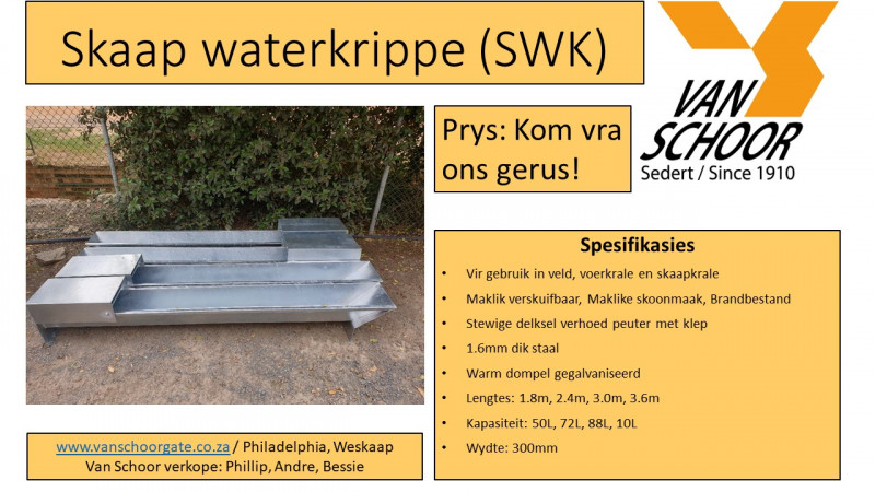 Skaap-waterkrippe