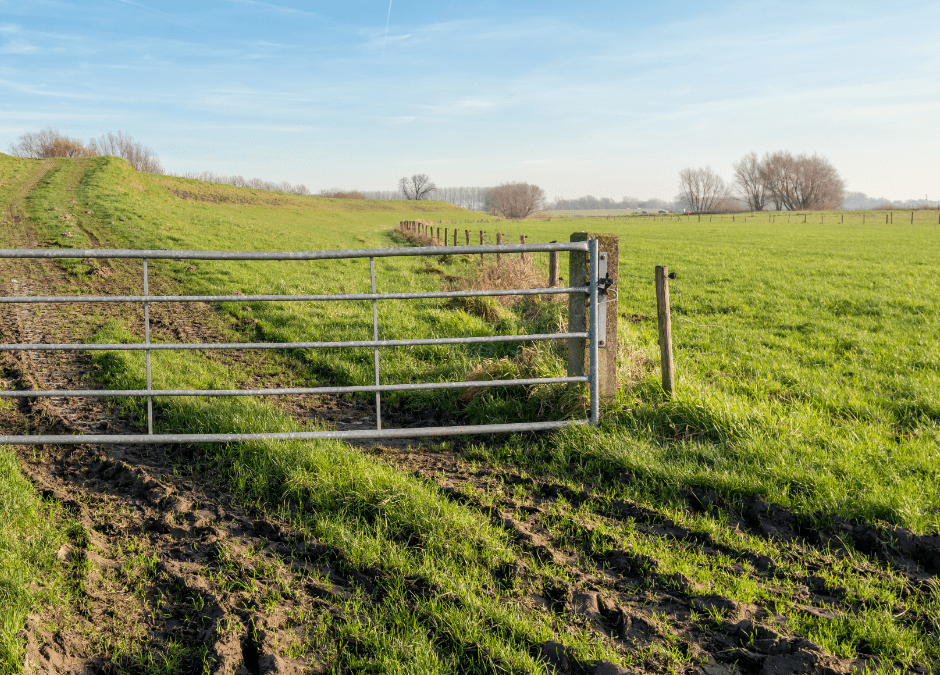 Protect Your Farm and Home with The Right Gate