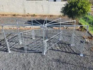 Sheep Force Kraal