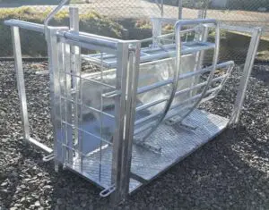 Sheep Clamp and Tilt