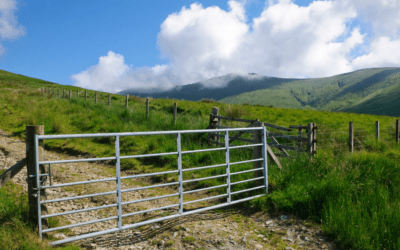 Farm Security – Fencing is that important
