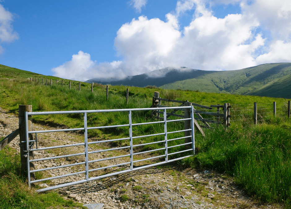 Farm Security – Fencing is that important