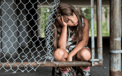 School Fences: Keeping Unwanted Elements Out