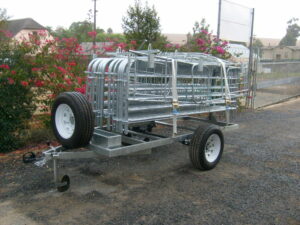 Trailer for Sheep Raceway